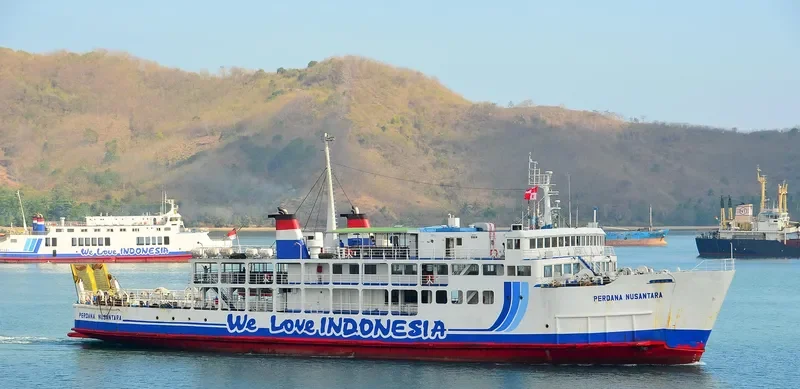 PERDANA NUSANTARA Ro-Ro IMO 7378066 photo 2