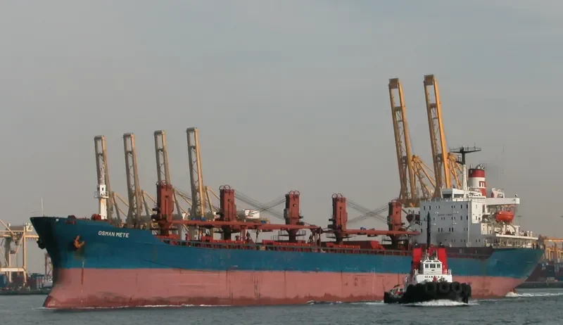 OSMAN METE Bulk Carrier IMO 7380485