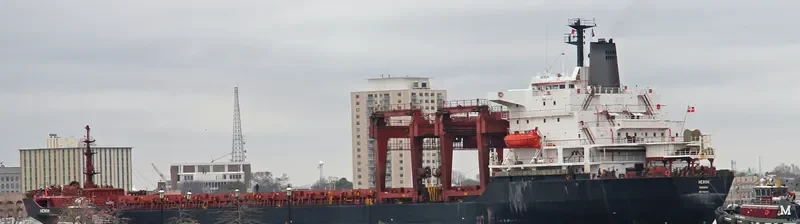 HERON General Cargo IMO 7380760 photo 7