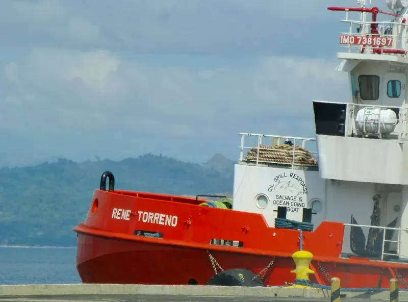 RENE TORRENO General Cargo IMO 7381697