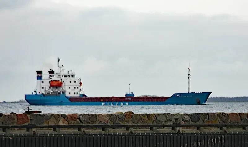 BROTHERS RS Bulk Carrier IMO 7382495