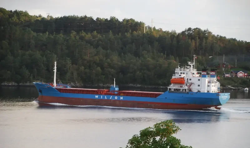 BROTHERS RS Bulk Carrier IMO 7382495 photo 12