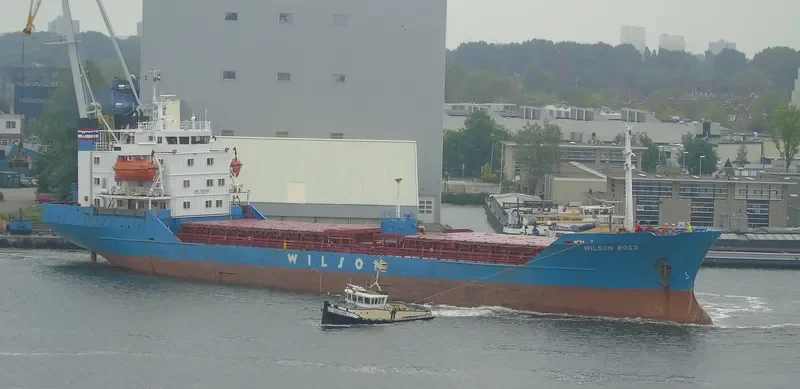 BROTHERS RS Bulk Carrier IMO 7382495 photo 17