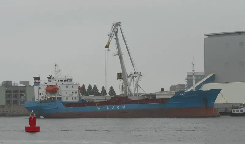 BROTHERS RS Bulk Carrier IMO 7382495 photo 26