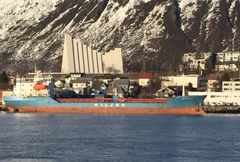 BROTHERS RS Bulk Carrier IMO 7382495 photo 30