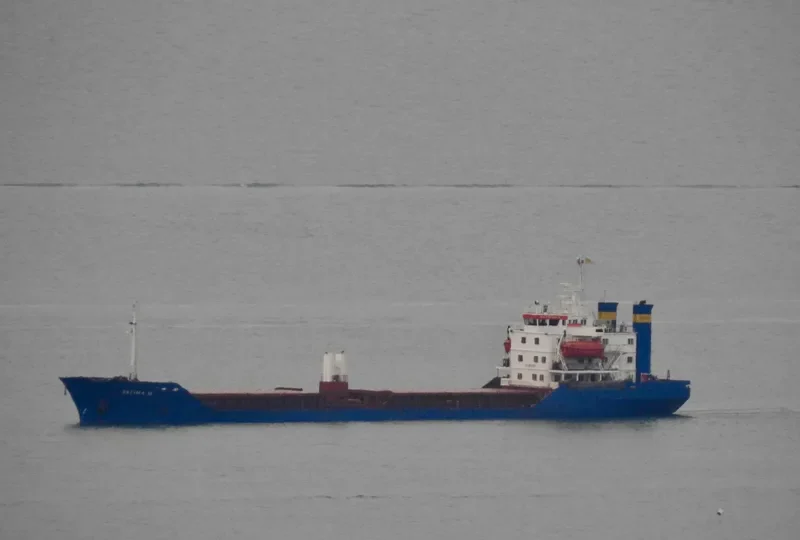 FATIMA M Bulk Carrier IMO 7382500