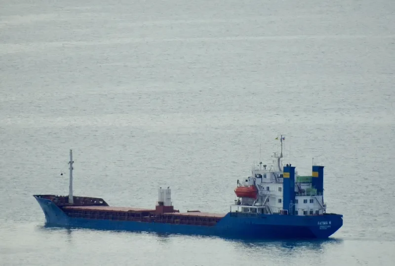 FATIMA M Bulk Carrier IMO 7382500 photo 2
