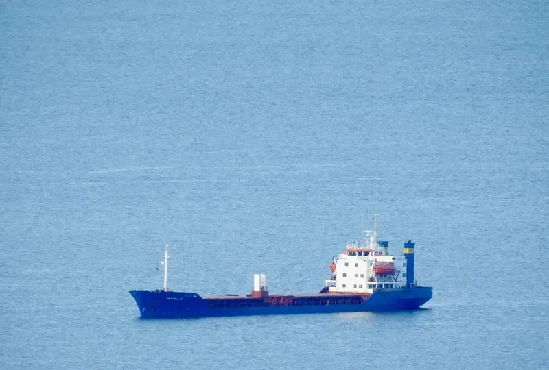 FATIMA M Bulk Carrier IMO 7382500 photo 4