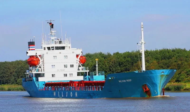 FRIENDS RS1 General Cargo IMO 7382665