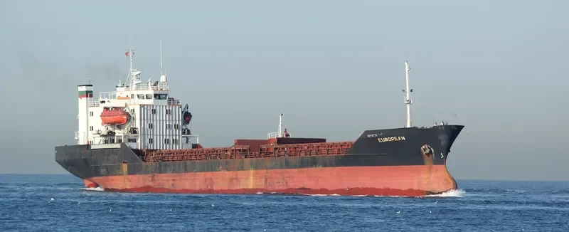 EUROPEAN Bulk Carrier IMO 7382706