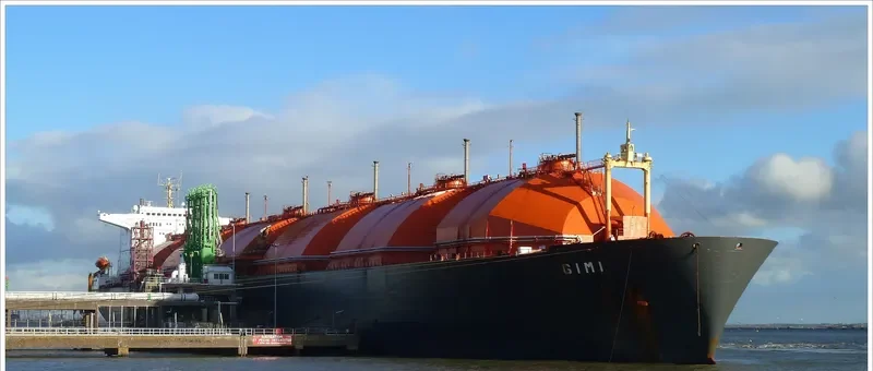 GIMI General Cargo IMO 7382732