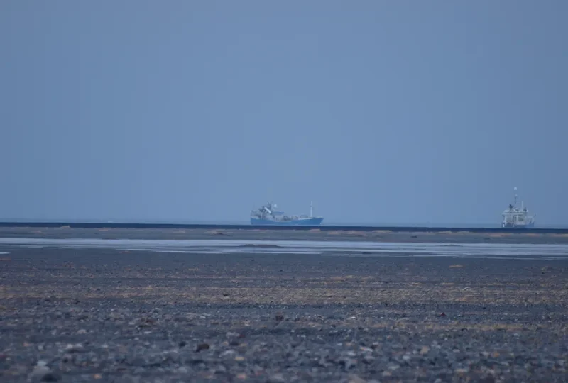 SIGHVATUR BJARNASON General Cargo IMO 7382914 photo 9