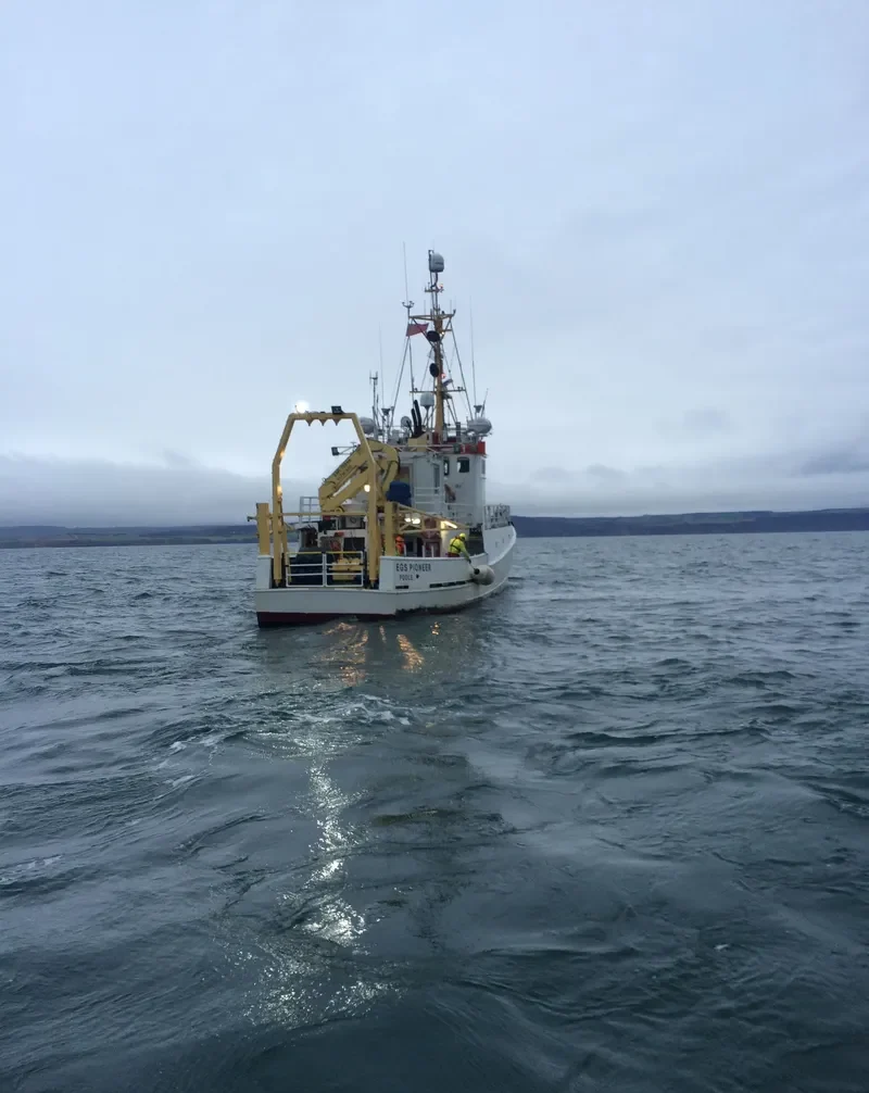 EGS PIONEER General Cargo IMO 7382926 photo 2
