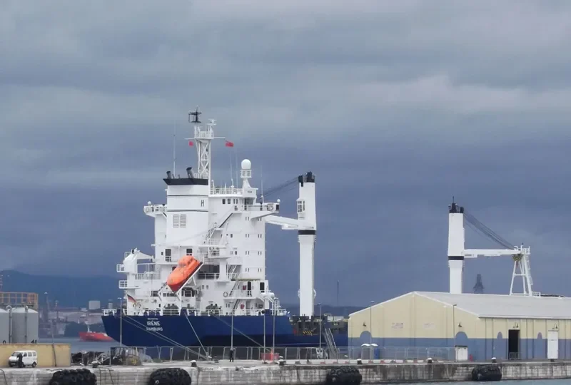 IRENES HONOUR Container Ship IMO 7383891