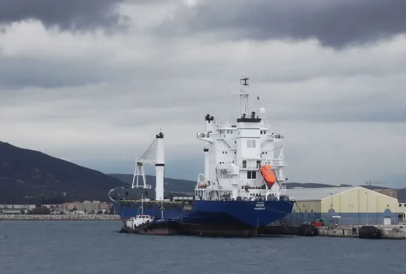 IRENES HONOUR Container Ship IMO 7383891 photo 2