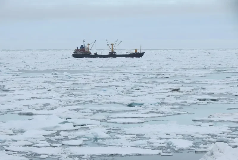 GEROY General Cargo IMO 7384285 photo 6