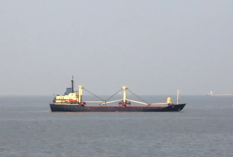 BAY General Cargo IMO 7384297