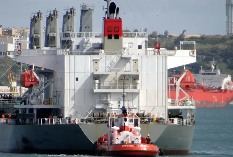 SOBREDA General Cargo IMO 7385057 photo 2