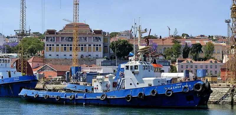 CACHOFARRA General Cargo IMO 7385095 photo 6