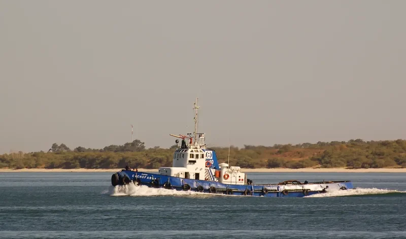 CACHOFARRA General Cargo IMO 7385095 photo 7