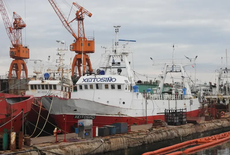 XEITOSINO General Cargo IMO 7385344