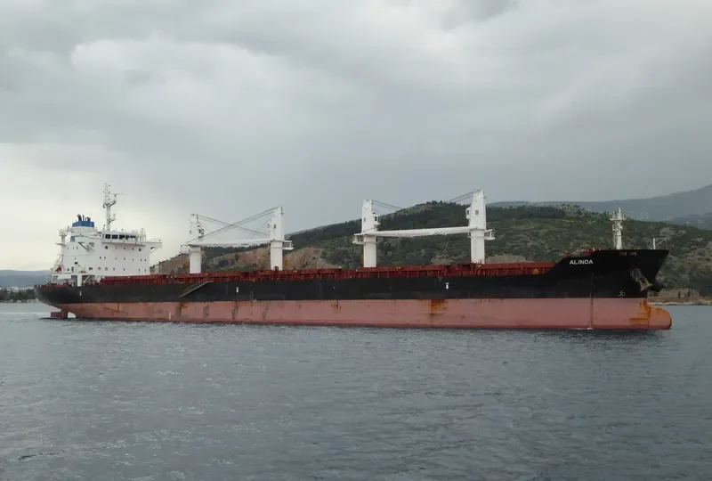 ALINDA Bulk Carrier IMO 7386245 photo 2