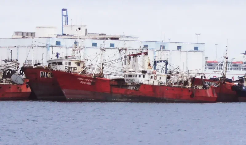 HIMA PECHE II General Cargo IMO 7386520