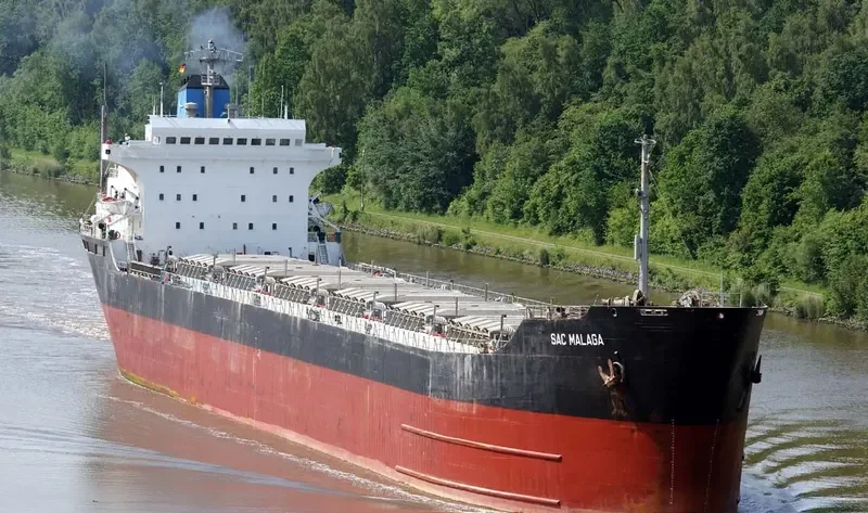 MALAGA Bulk Carrier IMO 7387093 photo 2