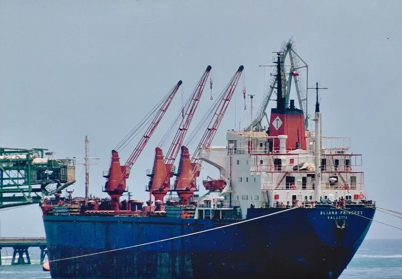 ALIANA PRINCESS General Cargo IMO 7387172