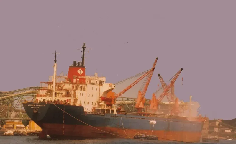ALIANA PRINCESS General Cargo IMO 7387172 photo 2
