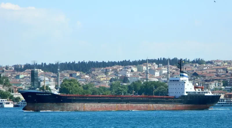 TEGUCIGALPA Bulk Carrier IMO 7387237 photo 3