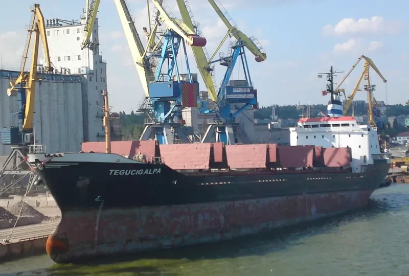 TEGUCIGALPA Bulk Carrier IMO 7387237 photo 4