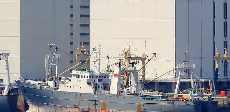 NO.99 OYANG General Cargo IMO 7388310 photo 2