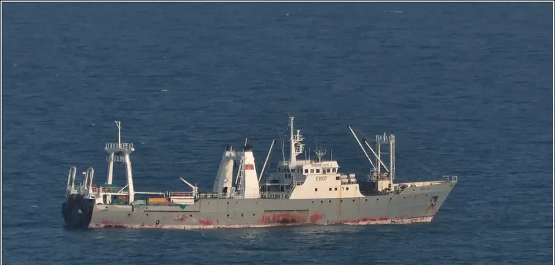 NO.99 OYANG General Cargo IMO 7388310 photo 3