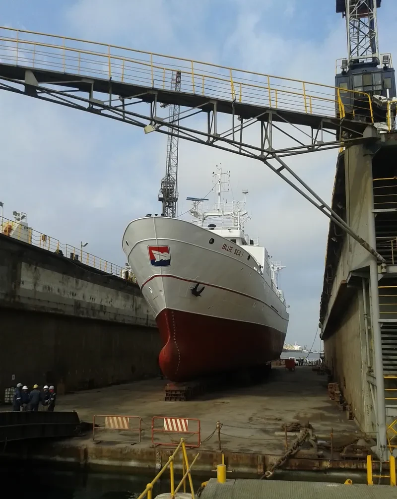 BLUE SEA I General Cargo IMO 7388358