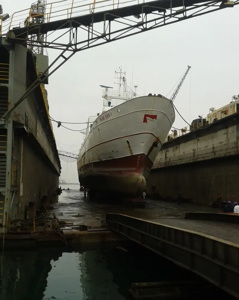 BLUE SEA I General Cargo IMO 7388358 photo 2
