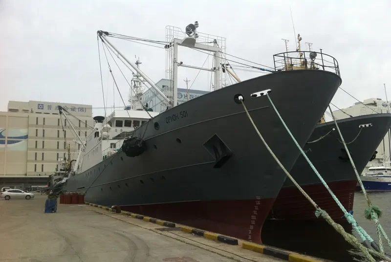 ORION 501 General Cargo IMO 7388504