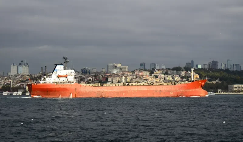 G.INEBOLU Bulk Carrier IMO 7389833 photo 2