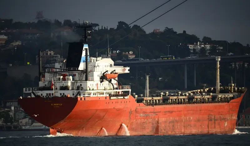 G.INEBOLU Bulk Carrier IMO 7389833 photo 3