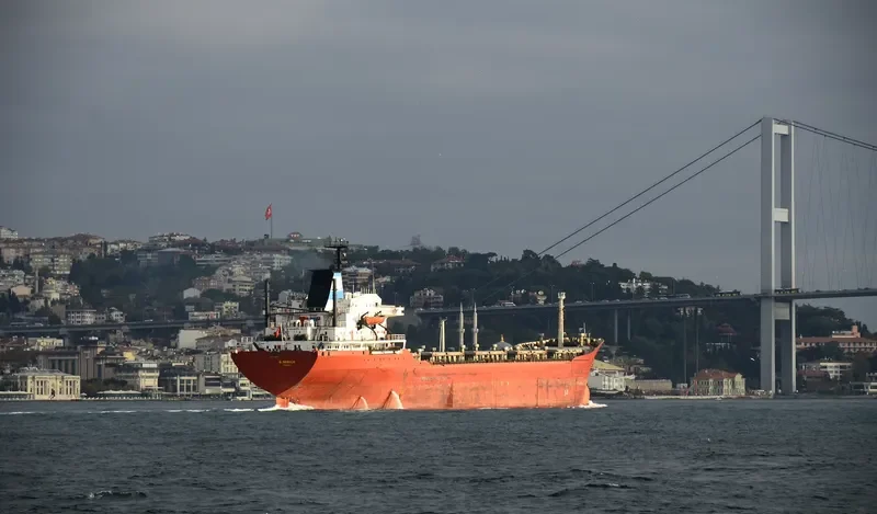G.INEBOLU Bulk Carrier IMO 7389833 photo 4