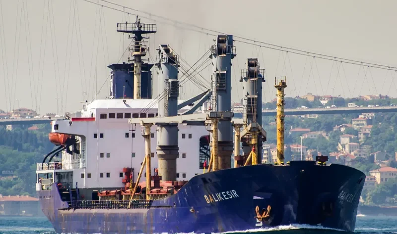 BALIKESIR Bulk Carrier IMO 7389883 photo 5