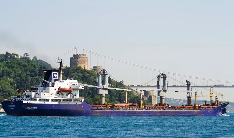 BALIKESIR Bulk Carrier IMO 7389883 photo 7