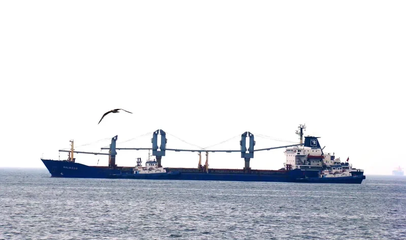 BALIKESIR Bulk Carrier IMO 7389883 photo 9