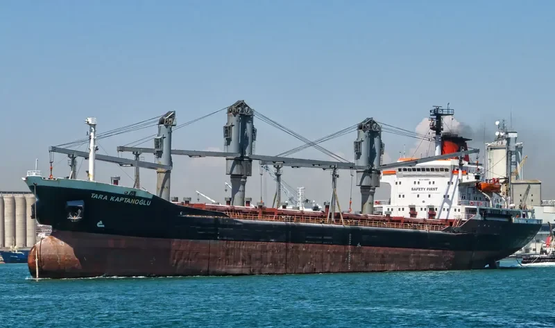 TARA KAPTANOGLU Bulk Carrier IMO 7389895 photo 2