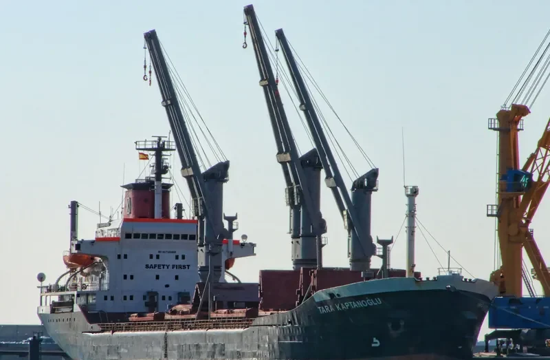TARA KAPTANOGLU Bulk Carrier IMO 7389895 photo 3