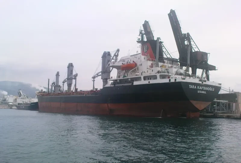 TARA KAPTANOGLU Bulk Carrier IMO 7389895 photo 10