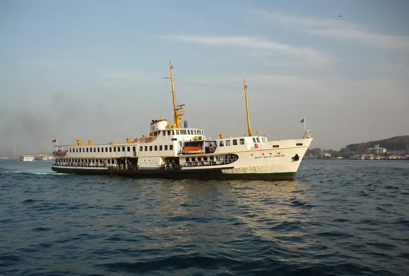 SEHIT NECATI GURKAYA Passenger Ship IMO 7389936 photo 9