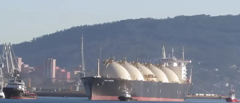 GULF ENERGY General Cargo IMO 7390143 photo 5