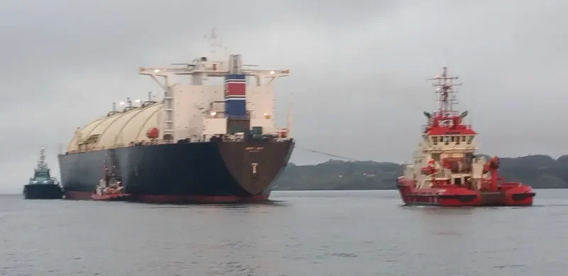 BERING ENERGY General Cargo IMO 7390155