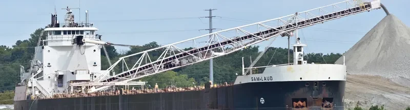SAM LAUD Bulk Carrier IMO 7390210 photo 4